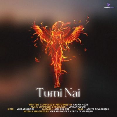 Tumi Nai, Listen the song Tumi Nai, Play the song Tumi Nai, Download the song Tumi Nai