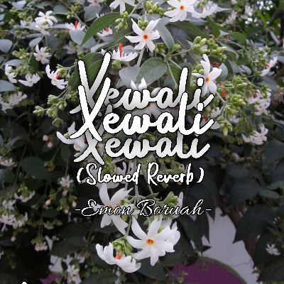 Xewali (Slowed Reverb), Listen the song Xewali (Slowed Reverb), Play the song Xewali (Slowed Reverb), Download the song Xewali (Slowed Reverb)