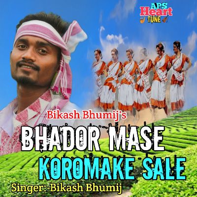 Bhador Mase Koromake Sale, Listen the song Bhador Mase Koromake Sale, Play the song Bhador Mase Koromake Sale, Download the song Bhador Mase Koromake Sale