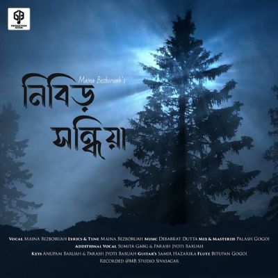 Nibir Sandhiya, Listen the song Nibir Sandhiya, Play the song Nibir Sandhiya, Download the song Nibir Sandhiya