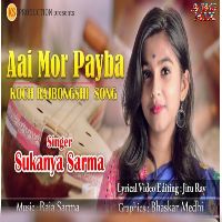 Aai Mor Payba, Listen the song Aai Mor Payba, Play the song Aai Mor Payba, Download the song Aai Mor Payba