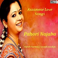 Pahori Najaba, Listen the song Pahori Najaba, Play the song Pahori Najaba, Download the song Pahori Najaba