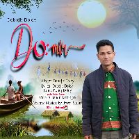 Domir