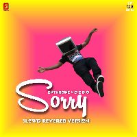 Sorry, Listen the song Sorry, Play the song Sorry, Download the song Sorry