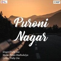 Purani Nagar, Listen the song Purani Nagar, Play the song Purani Nagar, Download the song Purani Nagar