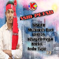 Asid Pejab