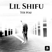 Toi Nai