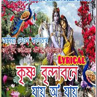 Krishna Brindabone