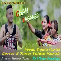 Chah Baganer