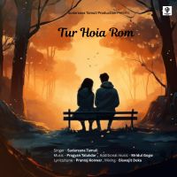 Tur Hoia Rom