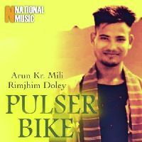 Pulser Bike, Listen the song Pulser Bike, Play the song Pulser Bike, Download the song Pulser Bike