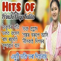 Hits Of Princhipriya