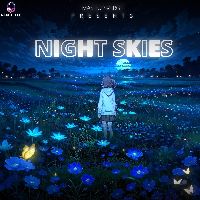 Night Skies