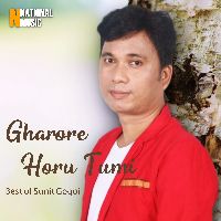 Gharore Horu Tumi