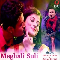 Meghali Suli, Listen the song Meghali Suli, Play the song Meghali Suli, Download the song Meghali Suli