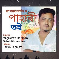 Pahari Toi