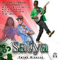 Saliya, Listen the song Saliya, Play the song Saliya, Download the song Saliya