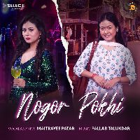 Nogor Pokhi