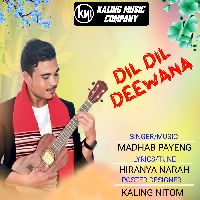 Dil Dil Deewana, Listen the song Dil Dil Deewana, Play the song Dil Dil Deewana, Download the song Dil Dil Deewana