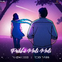 Pakhi Meli Meli, Listen the song Pakhi Meli Meli, Play the song Pakhi Meli Meli, Download the song Pakhi Meli Meli