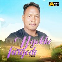 Ngokke Turgode