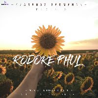 Rodore Phul, Listen the song Rodore Phul, Play the song Rodore Phul, Download the song Rodore Phul